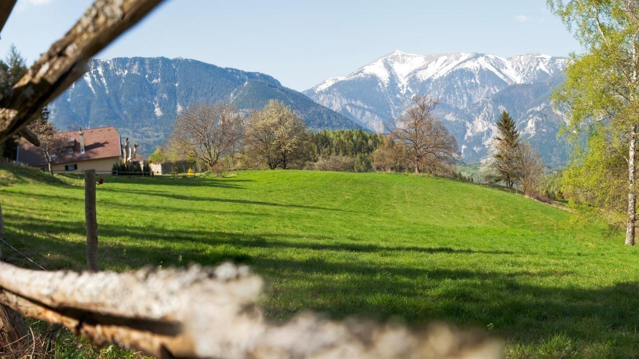 Hotel Marienhof Reichenau an der Rax Zewnętrze zdjęcie